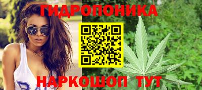 гашик Балахна