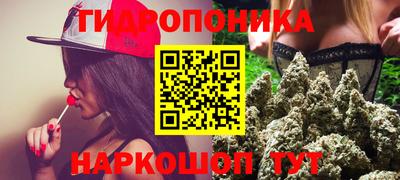 гашик Балахна