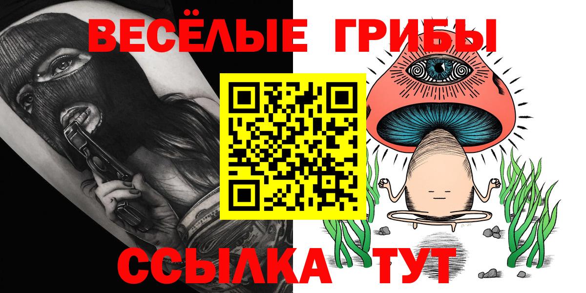 Галлюциногенные грибы Psilocybine cubensis Гулькевичи