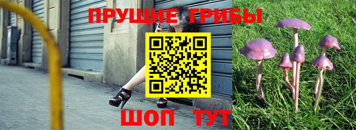 Гулькевичи  Псилоцибиновые грибы ЛСД  Вход с VPN 